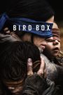 Bird Box (2018) มอง อย่าให้เห็น