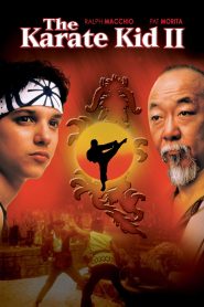 The Karate Kid Part 2 (1986) คาราเต้ คิด 2